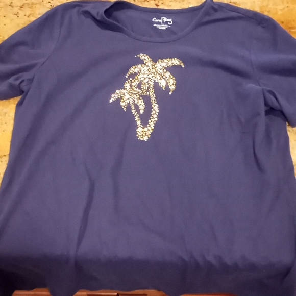 Coral Bay, Koret, C'Lean, And Others Assorted Blouse 👚 Lot Size Large - Picture 10 of 12